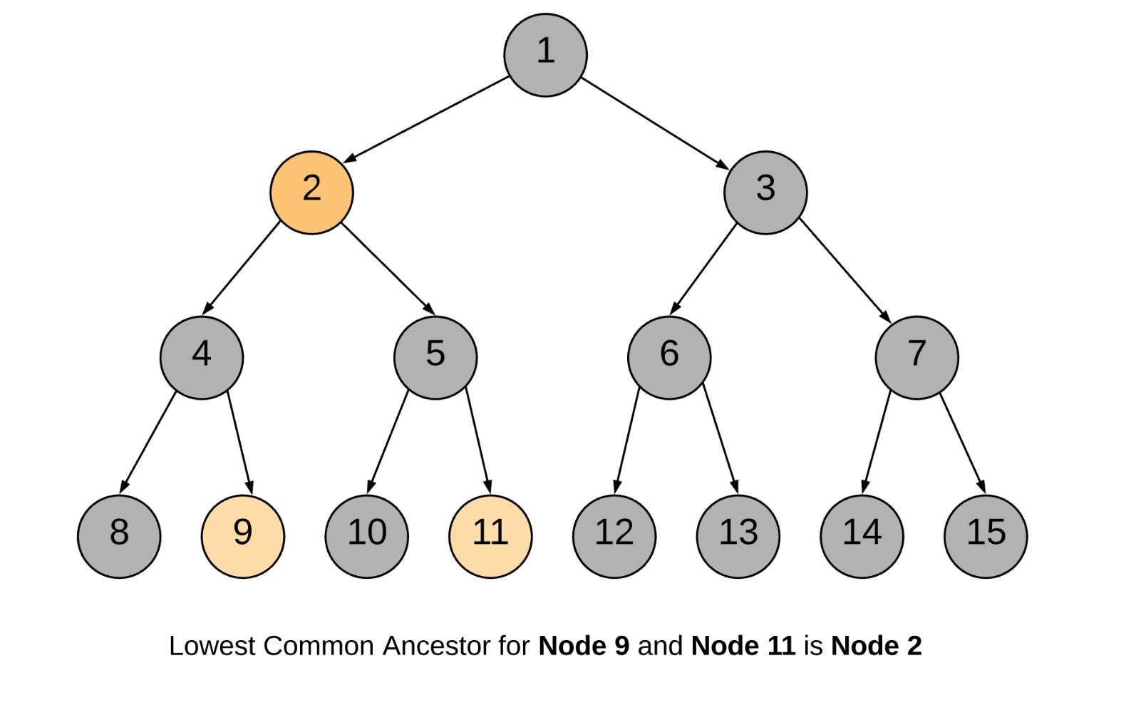 Large binary. LCA binary Tree. Бинарный портрет. Common Общие. Low common ANCESTOR.